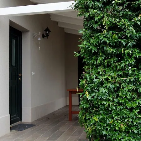 Holiday Pepermint Holiday home Novigrad (Istria)